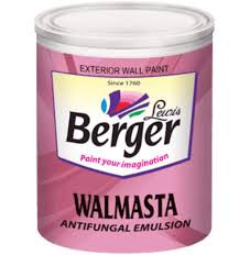 Walmasta antifungal exterior emulasion
